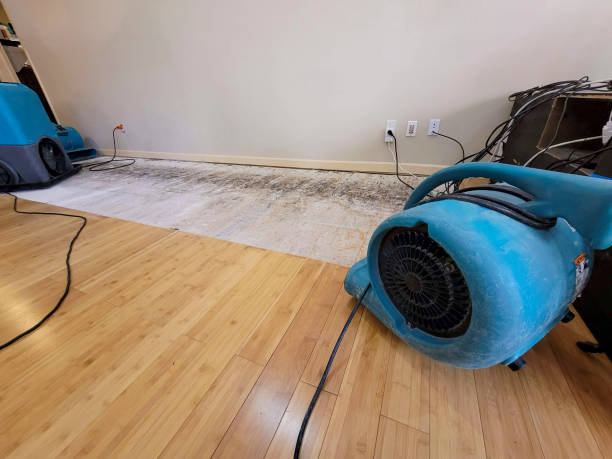 Professional Sewage Cleanup technician working in Farmville, VA
